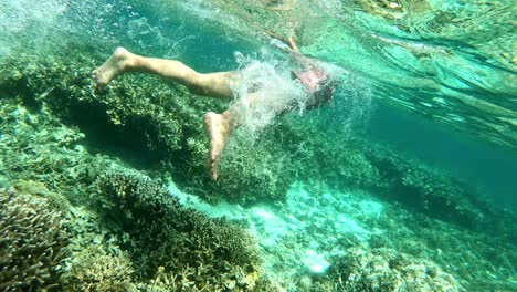 young woman enjoying snorkeling above the beautiful coral reefs and crystalline sea water in shallow part from oslob cebu, philippines