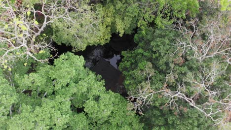 gran foto de cierre de uno de los muchos lugares famosos de cenote en riviera maya, méxico