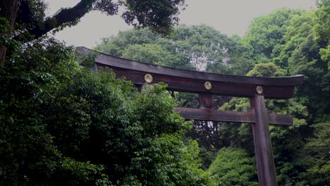 Die-Beste-Aussicht-In-Tokio