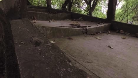 slow motion, floor stairs and dry leaves