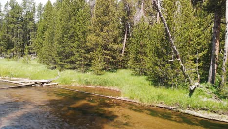 Forest-Creek-Im-Yellowstone-National-Park,-Luftaufnahme-In-Zeitlupe