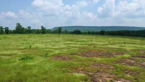 Drohne-Fliegt-über-Grüne-Wiesen-In-Richtung-Bewaldete-Landschaft