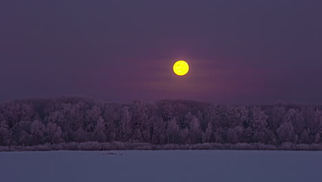 Full-moon-descends-towards-the-winter-forest-horizon-on-a-cold-night---time-lapse