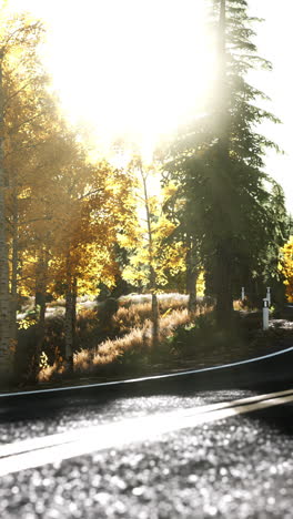 a winding road through a forest in autumn, with the sun shining through the trees