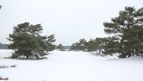 Lange-Pfanne-Mit-Schneebedecktem-Naturpark---Von-Rechts-Nach-Links