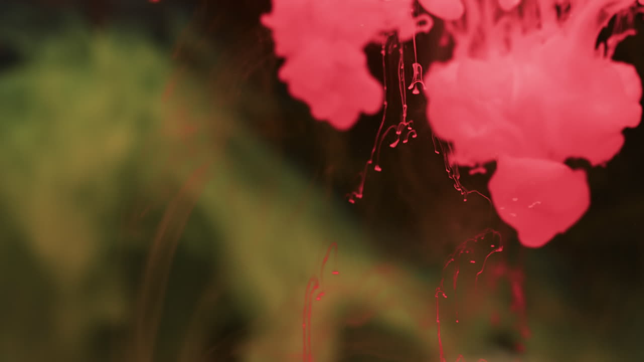 흑색 배경 에 물 에  ⁇ 인 분홍색 수채화 잉크 의 느린 동영상