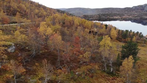 Norwegian-fall-on-the-mountain