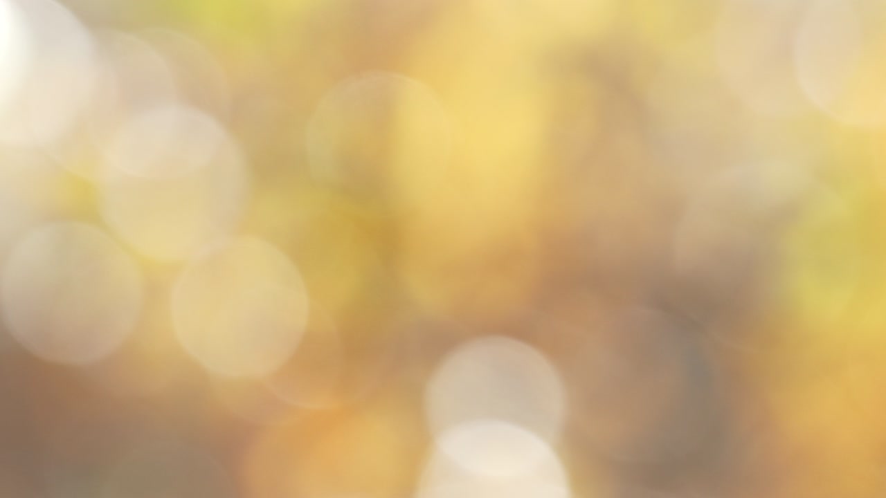 가을의 자연 배경