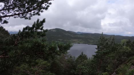 Fjord-viewpoint-view-from-spruce-tree-forest-in-Norway,-nature-panoramic-view