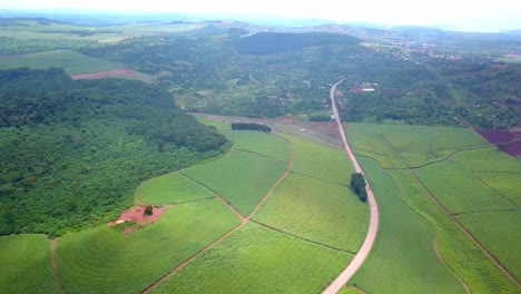 Straße-Durch-Eine-Grüntee-Farm-In-Uganda