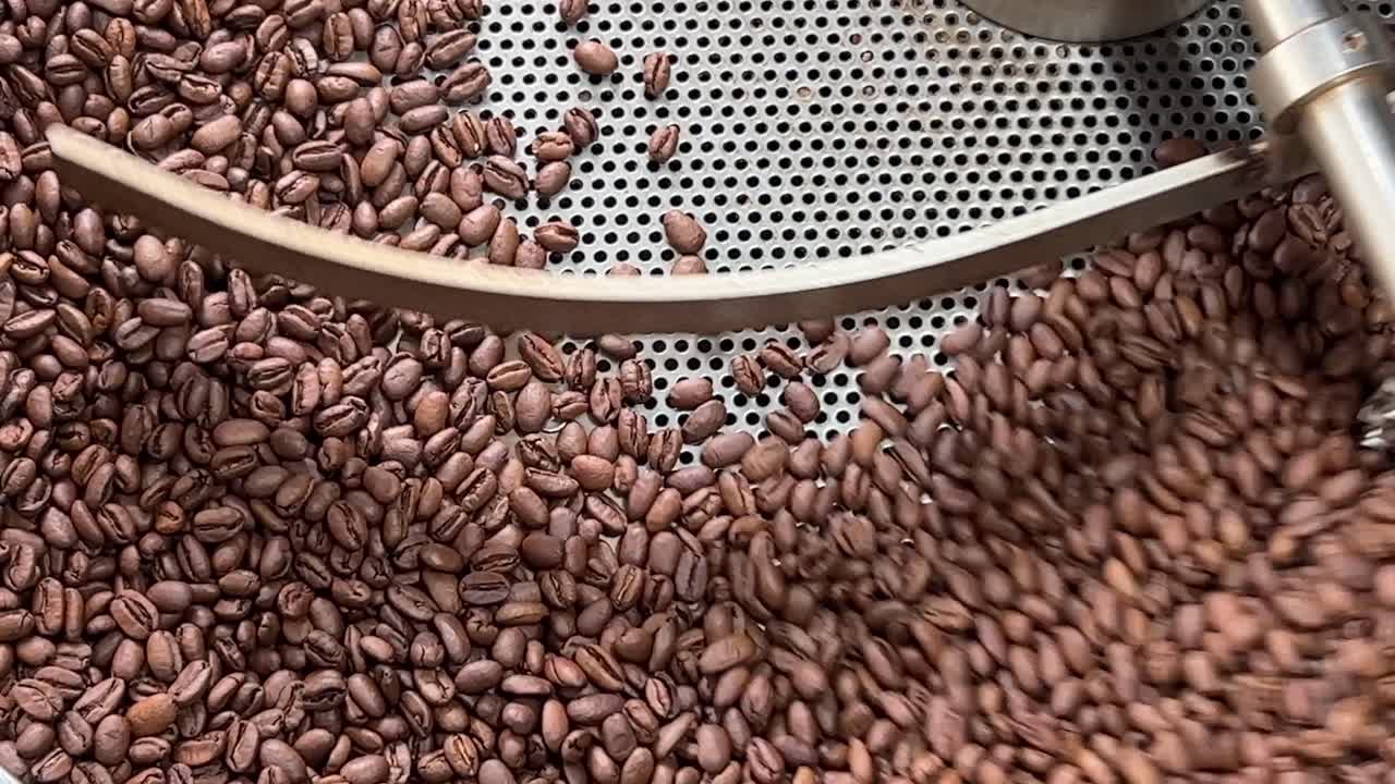Quality coffee beans spinning on cooling and mixing tray to reduce the heat temperature after roasting, production warehouse factory shot of food and beverage industry, extreme close up shot