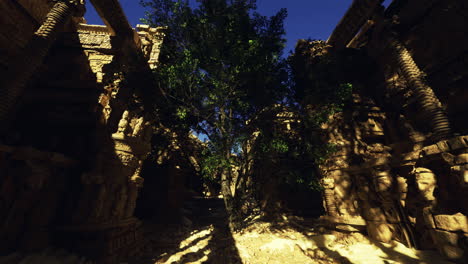 ancient ruins enveloped by a lush tree in a historical site