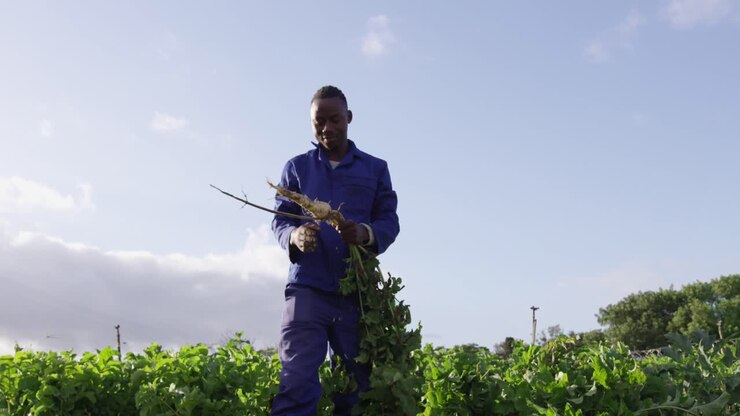 Young man working on farm