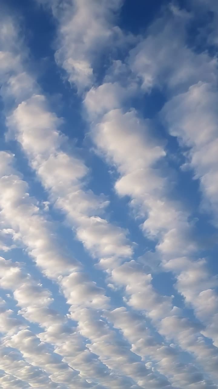 Video verticale: file di nuvolette gonfie che si spostano lentamente nel cielo blu, spinte dal vento
