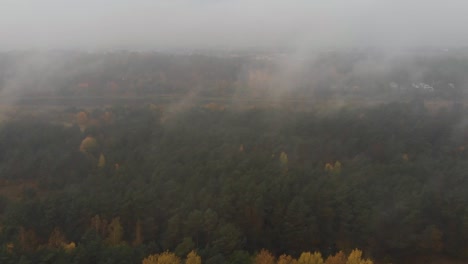 Toma-Aérea-Sobre-El-Bosque-Verde-Con-Niebla,-Humor-Misterioso-Y-Oscuro,-En-El-Horizonte-Se-Puede-Ver-El-Río