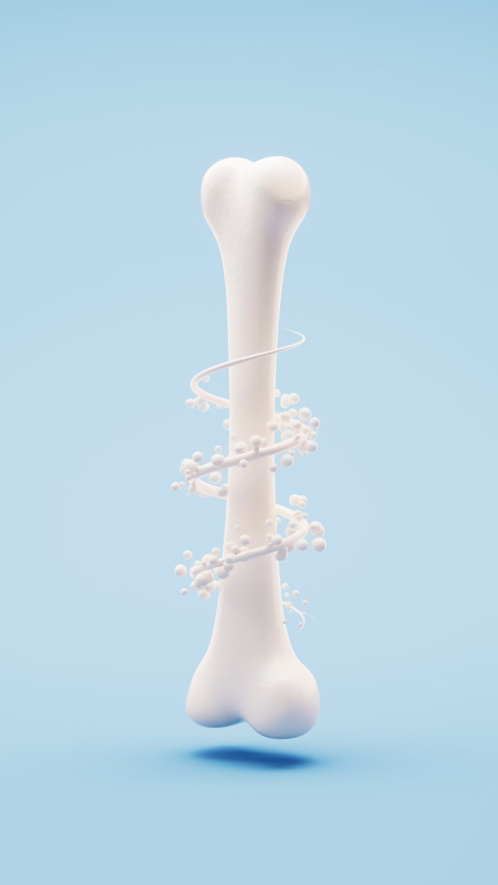 골격의 생물학적 해부학 및  건강, 3d 렌더링