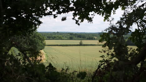 Wind-blowing-through-trees-that-frame-a-rural-scene-of-farmland-in-the-Warwickshire-countryside,-ENgland,-UK