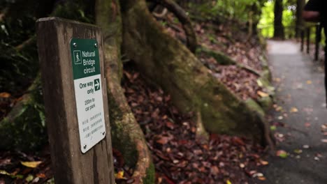 Person-walking-past-signage-away-from-the-camera-on-the-walking-trail,-Natural-Bridge,-Springbrook-National-Park