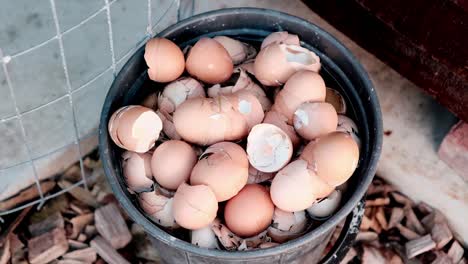 bucket full of egg shells