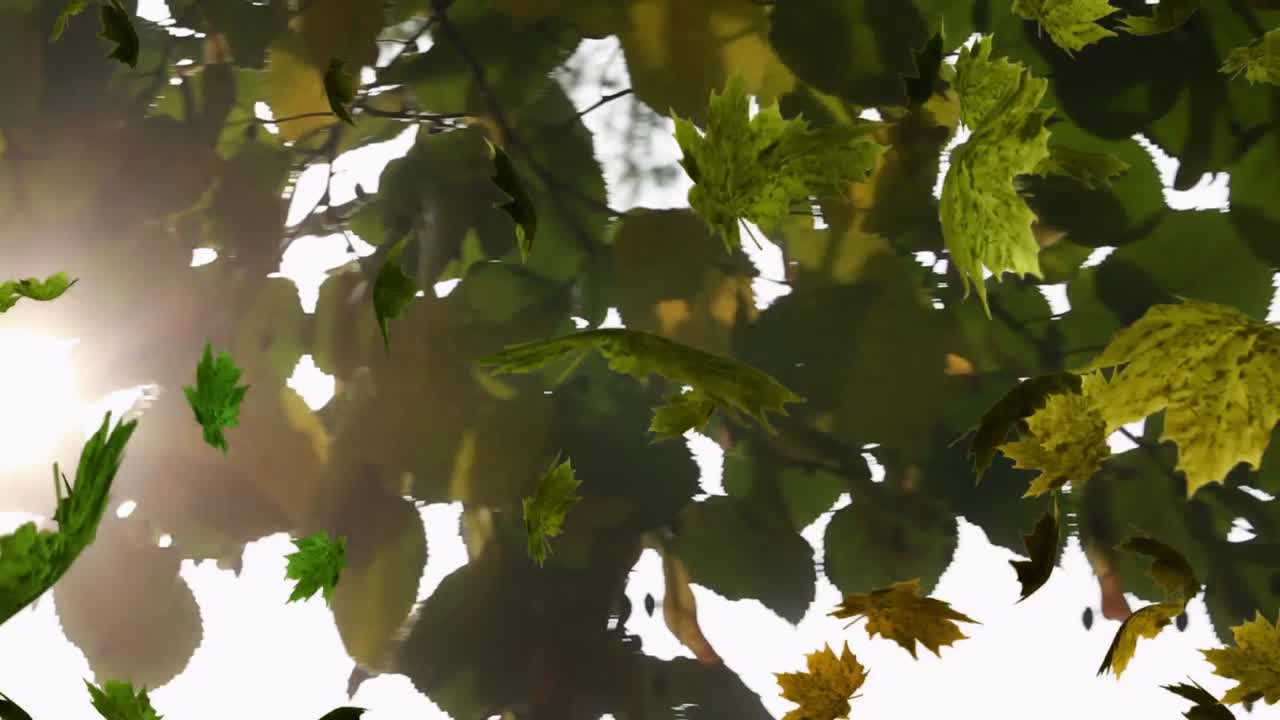 animación de varias hojas que caen sobre el bosque verde