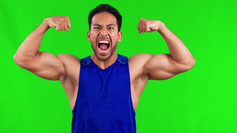 hombre asiático musculoso, flexión del brazo