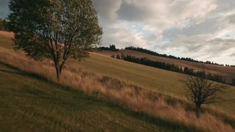 aerial footage from an action camera flying low above a dry grass covered meadow approaching lone trees