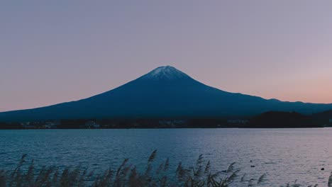 mt fuji during sunset. peaceful, calm and cinematic 4k time lapse close to kawaguchi lake, japan. magical blue hour twilight with clear skies.