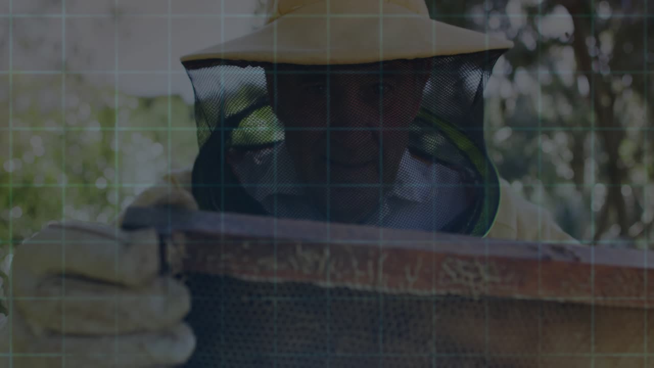 Beekeeper holding honeycomb frame while tech grid, reticle scanning cells for hive health
