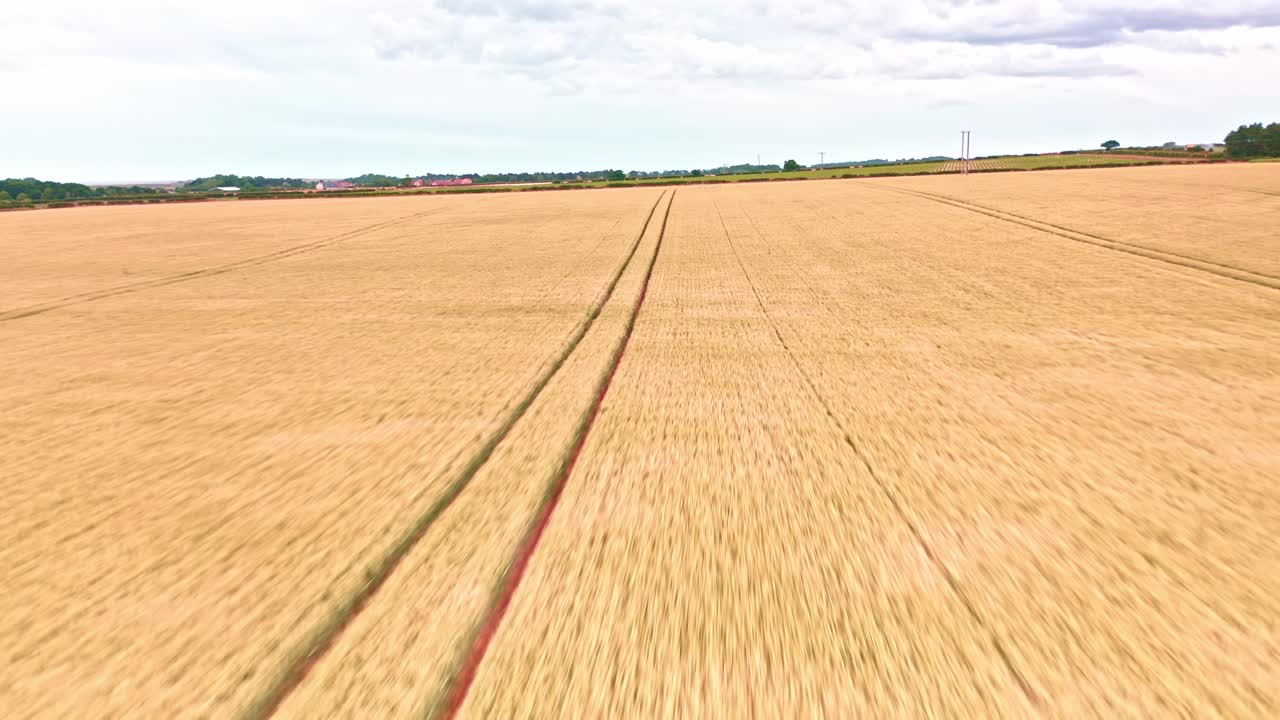 norfolk campos de granja avión no tripulado rápido vuelo bajo sobre campos de trigo