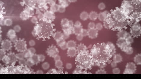 animación de múltiples células de virus flotando sobre un fondo marrón