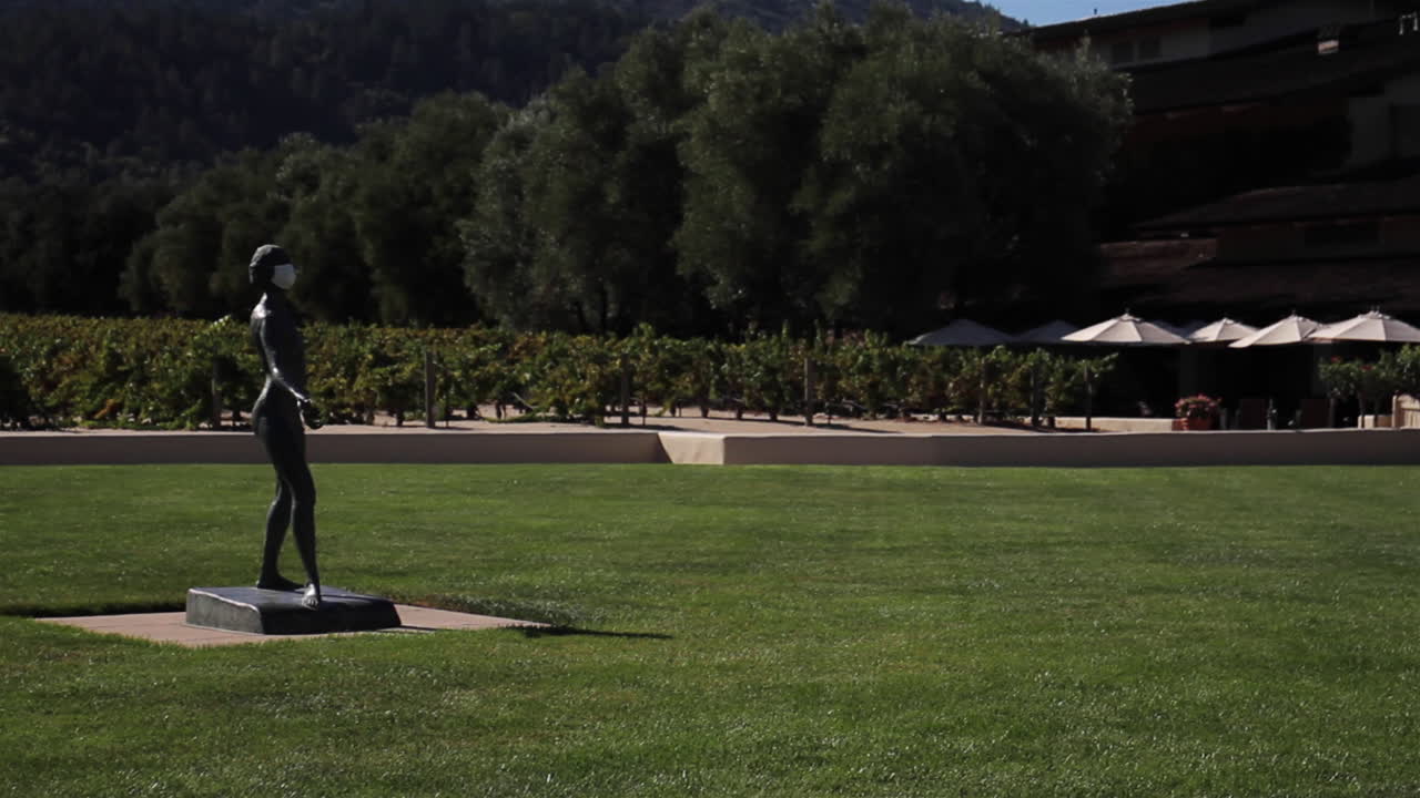 Statue in a Vineyard Garden
