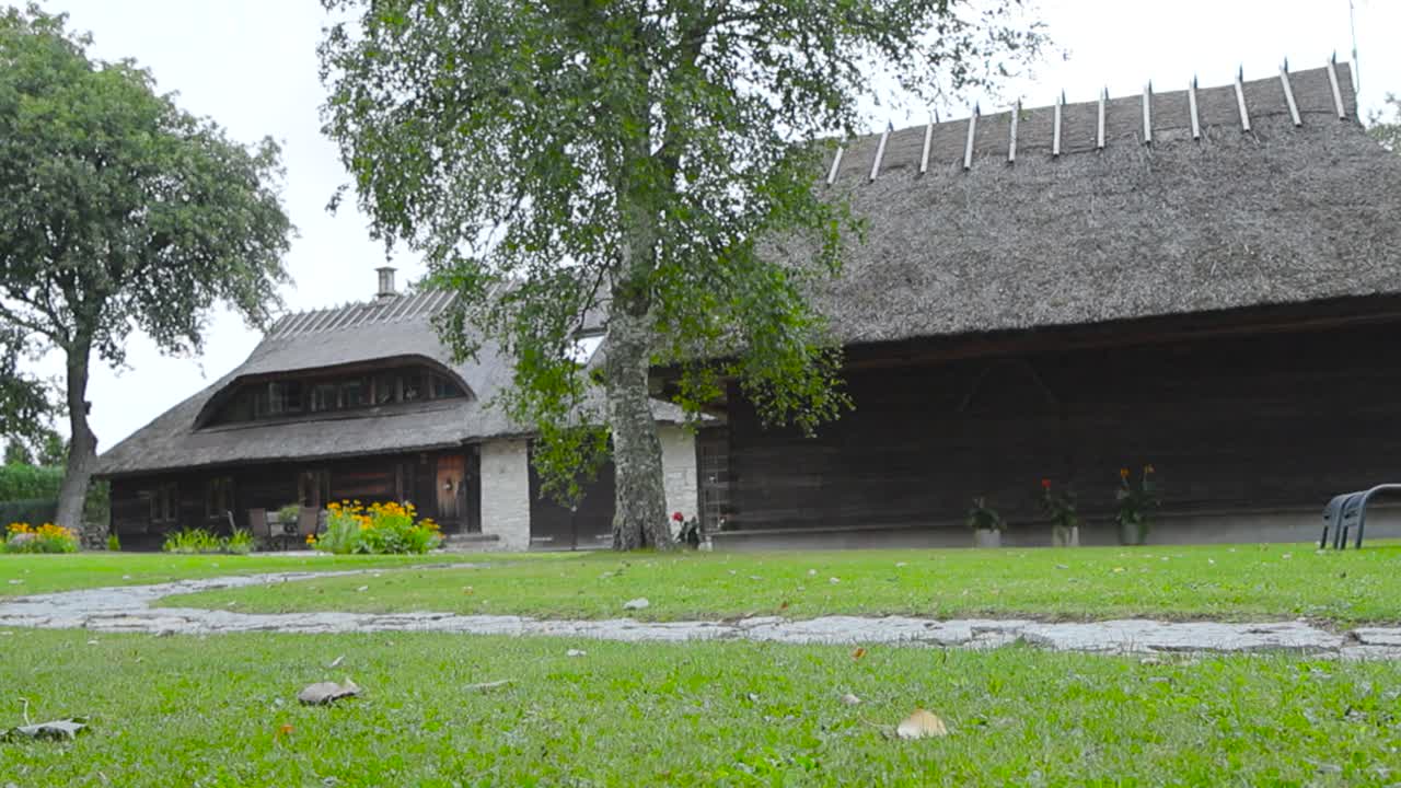 Traditional Estonian wooden buildings that have straw or rye roofing or roof during summer time. In front of the house there are birch trees and a traditional limestone road with mowed lawn, daytime.