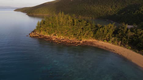 Dichtes-Laub-Auf-Einer-Zerklüfteten-Insel,-Umgeben-Von-Küstengewässern