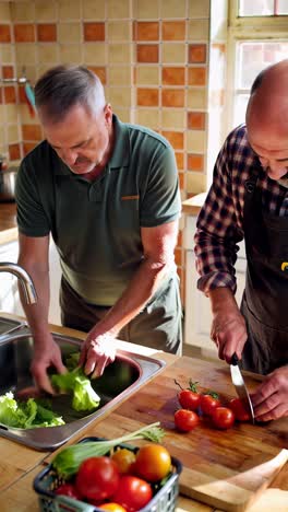 cooking together: two male seniors in a cozy kitchen.
