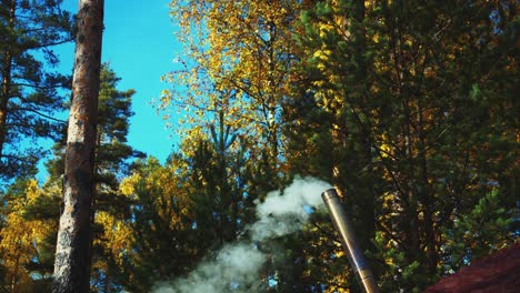 Bernsteinfarbene-Herbstblätter-Hinter-Kleinem-Lagerkamin,-Der-Im-Sonnigen-Wald-Raucht