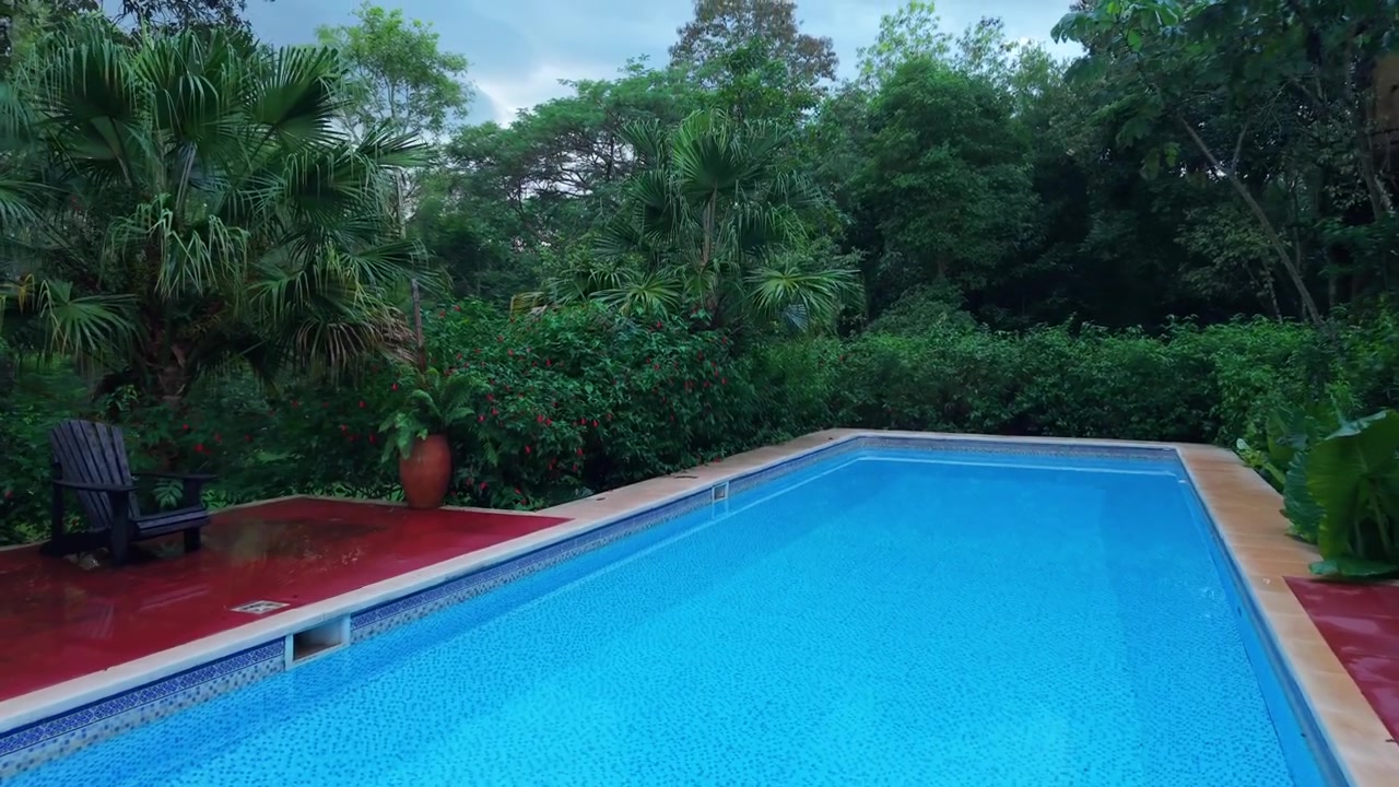 Udendørs swimmingpool i Misiones, Argentina, omgivet af tæt subtropisk atlantisk skovvegetation med flisebelagt terrasse og liggestole, stillbillede.