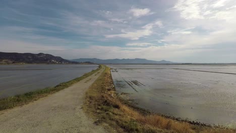 Una-Vista-Lateral-De-Un-Campo-De-Arroz-Inundado