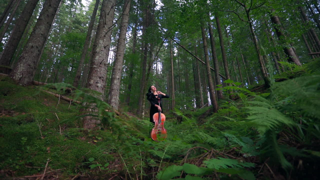 Musician with cello in forest. Beautiful woman cellist with her cello in mountain forest