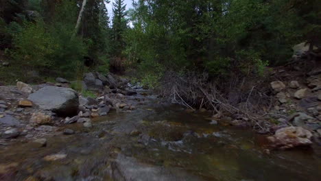 Fast-paced,-low-flying-drone-shot-over-a-peaceful-flowing-creek-towards-some-low-branches-and-green-trees