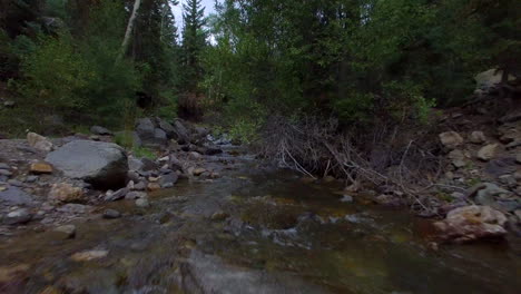 fast paced, low flying drone shot over a peaceful flowing creek towards some low branches and green trees