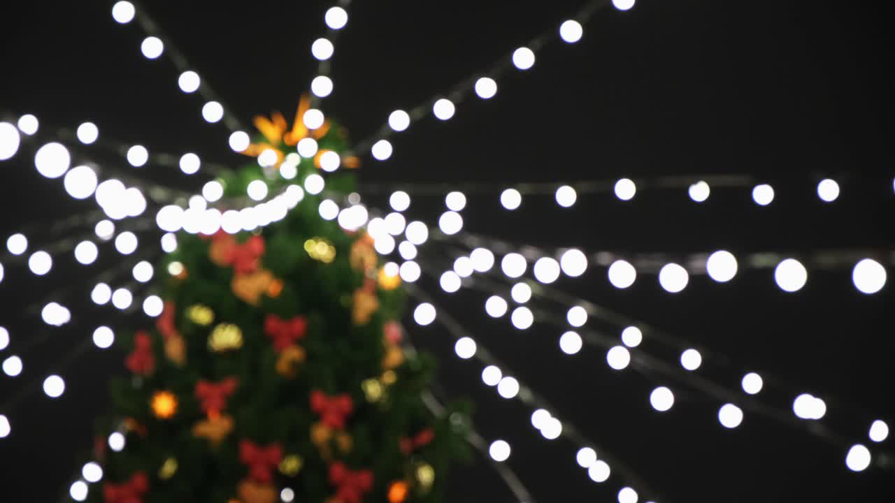Christmas Tree at Night with Lights