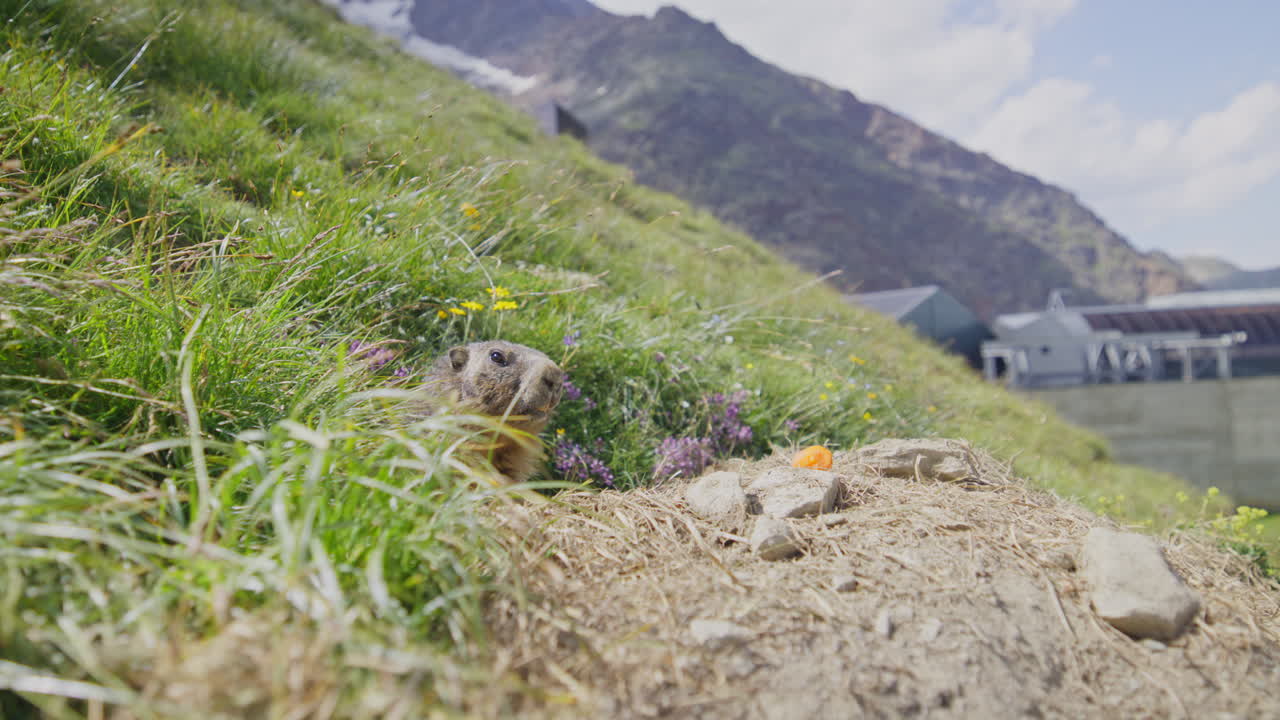 Two hikers explore Saas-Fee, Saas-Balen, and the Saas-Almagell dam, passing waterfalls, marmots, and alpine peaks in a breathtaking high-mountain landscape.