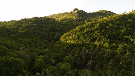 Drones-Vuelan-Sobre-La-Selva-Natural,-Bosque-De-Palmeras-Tropicales-No-Contaminadas,-Vista-Aérea-Al-Atardecer-De-Un-Paisaje-Escénico-Increíble