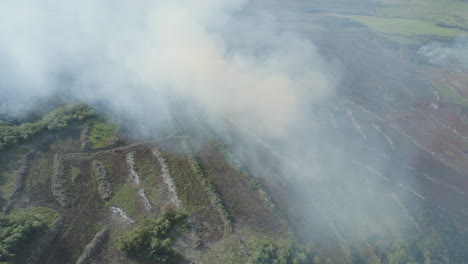 incendio forestal en tierras agrícolas en la región de la selva amazónica - brasil 2019