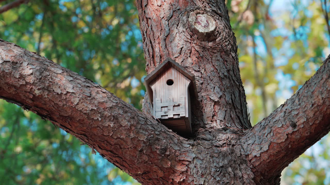 Close-up van een klein houten vogelhuisje bevestigd aan een boomtak, omringd door groene bladeren