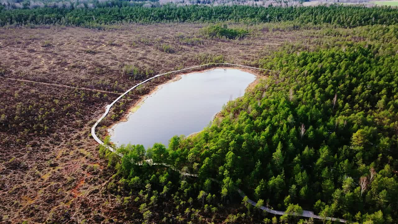 Circular boardwalk traces vivid lake amid pine bog on Kalnansu nature trail