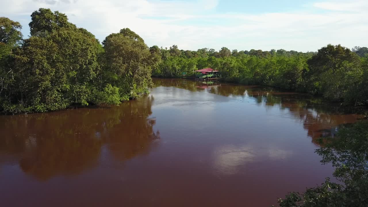 Malaysia,Kota Kinabulu,Aerial footage forward over the brown river and mangrove forest on a sunny day. Medium shot and ascending slowly for an overall view.