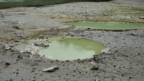 slowly bubbling natural pools at hydrothermal area in volcanically active zone of wai-o-tapu