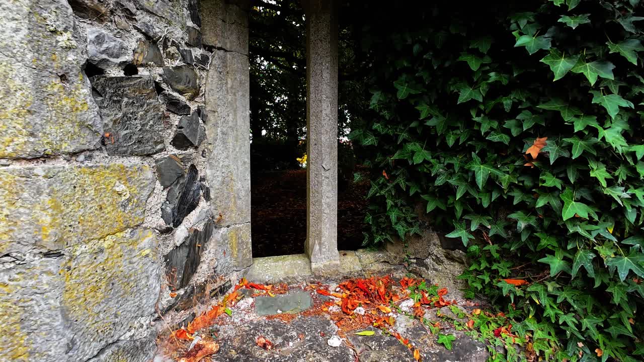 Ireland Epic Locations ancient window stonework work of craftsman no longer with a view forgotten in overgrown forest Ireland