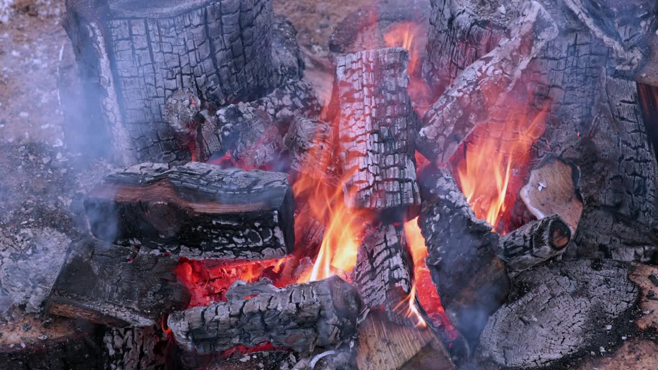 leña para la quema de carbón